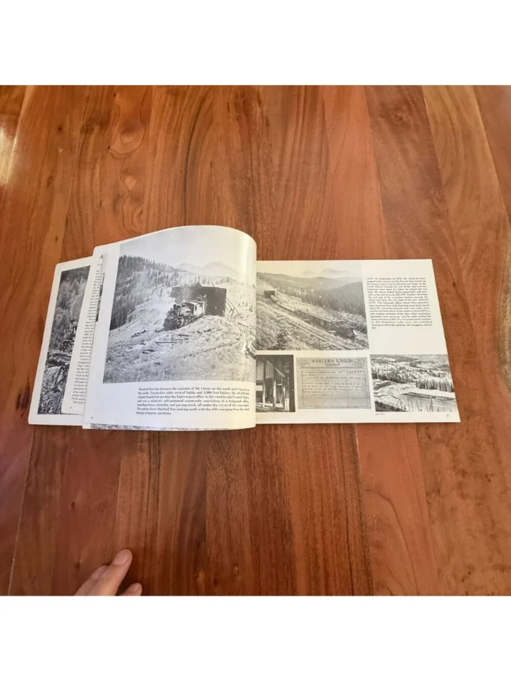 N/A beautifully illustrated